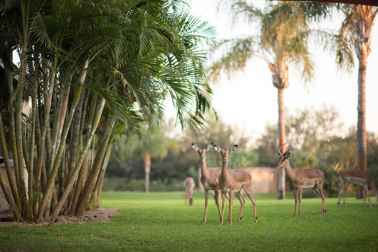 Lephalale Machauka Lodge מראה חיצוני תמונה